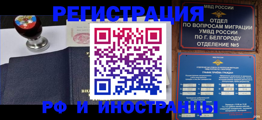 временная регистрация поиск в Алексине